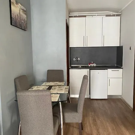 Jankovic Apartment Belgrade